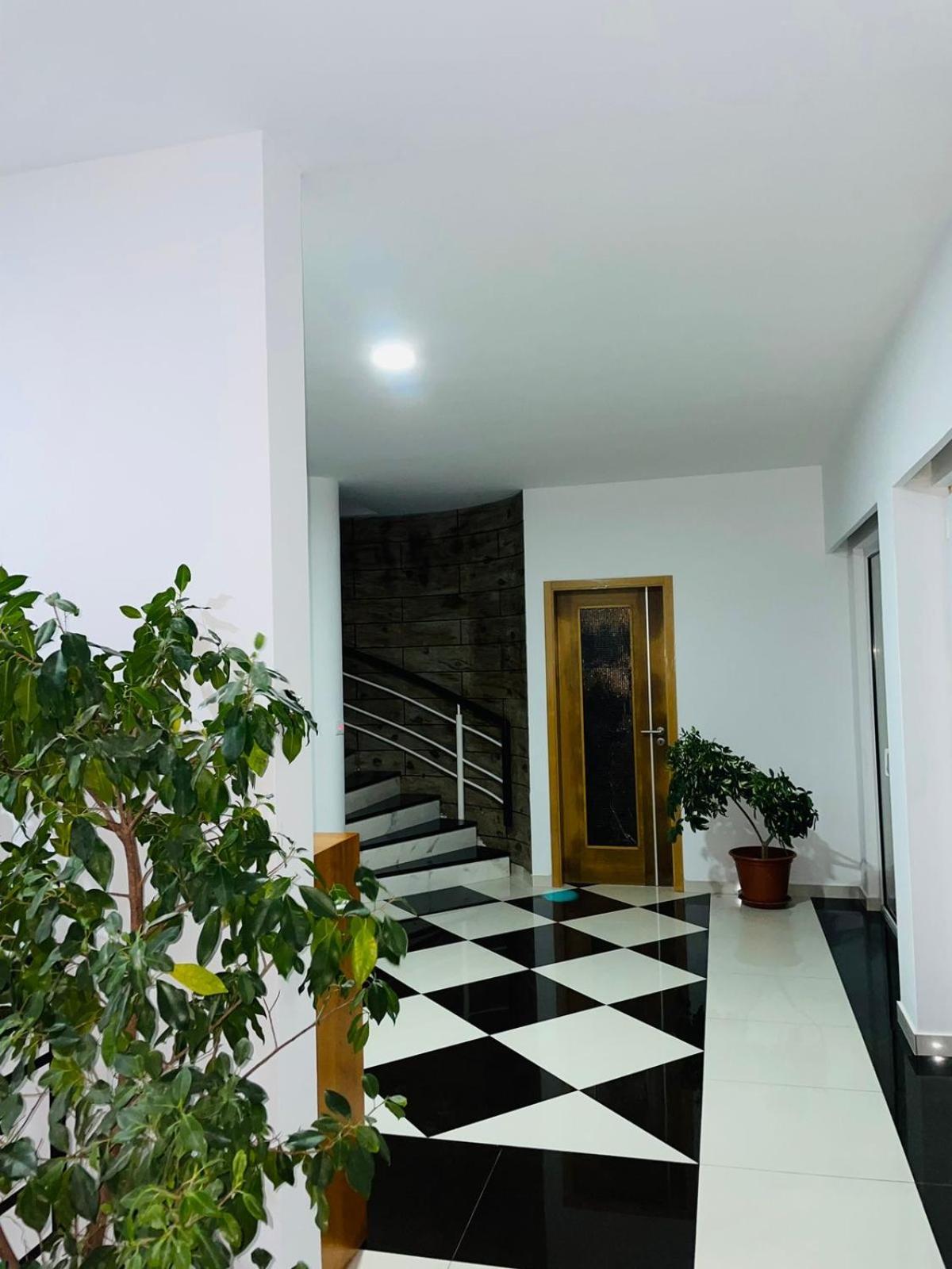 Residencial Sol Point Art Bed and Breakfast Ponta Do Sol Exteriör bild